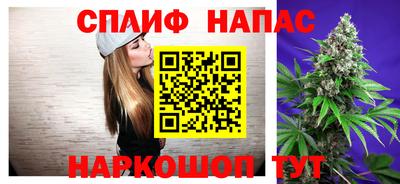 сатива Усть-Джегута