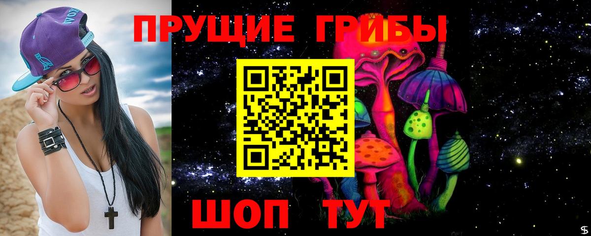 Галлюциногенные грибы Psilocybe Кудымкар